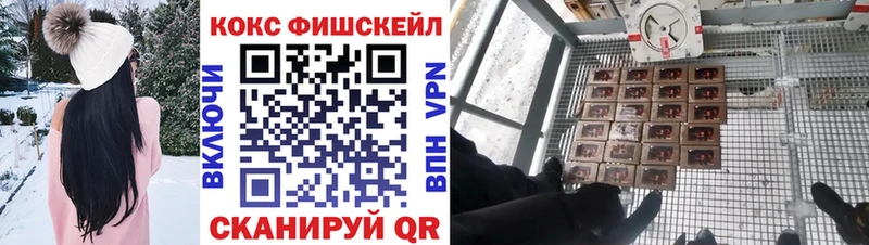 Купить закладки  Красавино  КОКАИН FishScale 