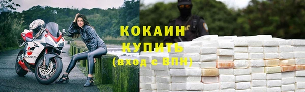 эйфоретик Богданович