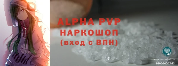 эйфоретик Богданович