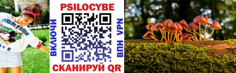Псилоцибиновые грибы MAGIC MUSHROOMS  Купить  Красавино 